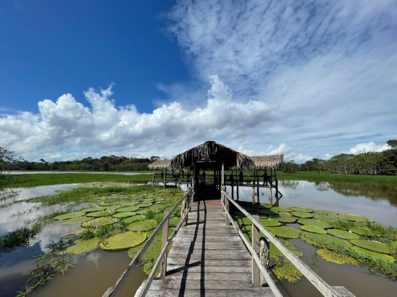Profissionais vivem experiência na Amazônia