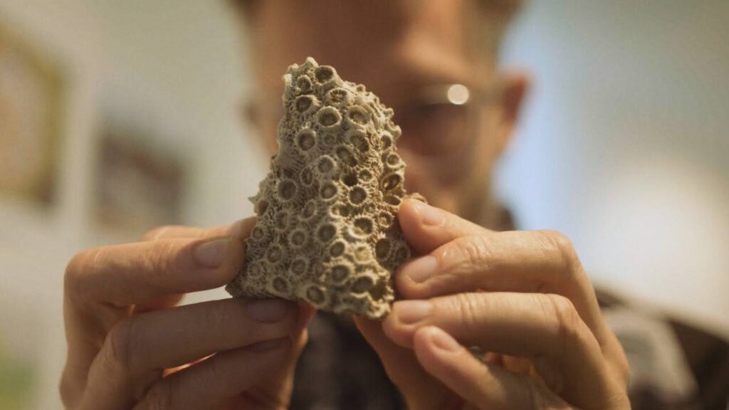 Marko Brajovic assina projeto de arquitetura de laboratórios na Amazônia