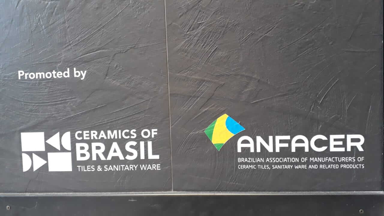 eliane and anfacer group