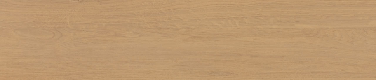 Bali Camel AC