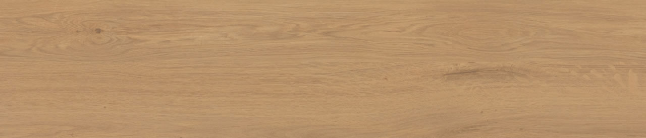 Bali Camel AC