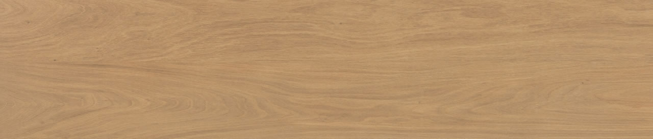 Bali Camel AC