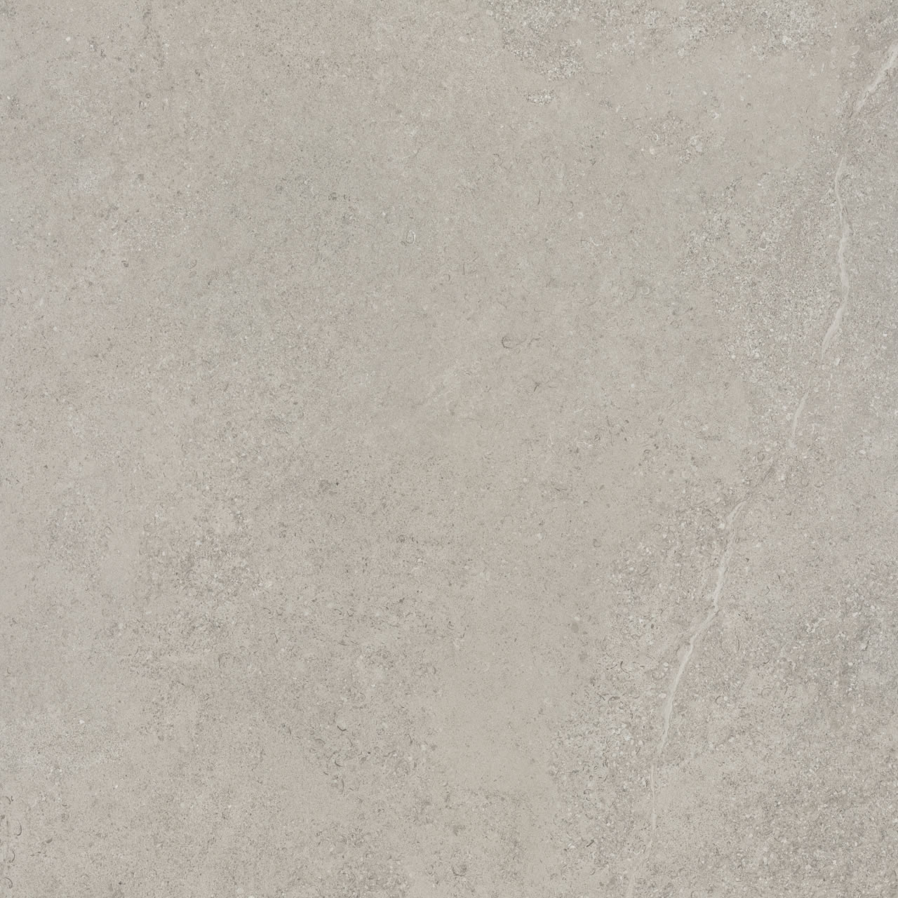 Caliza Gray EXT
