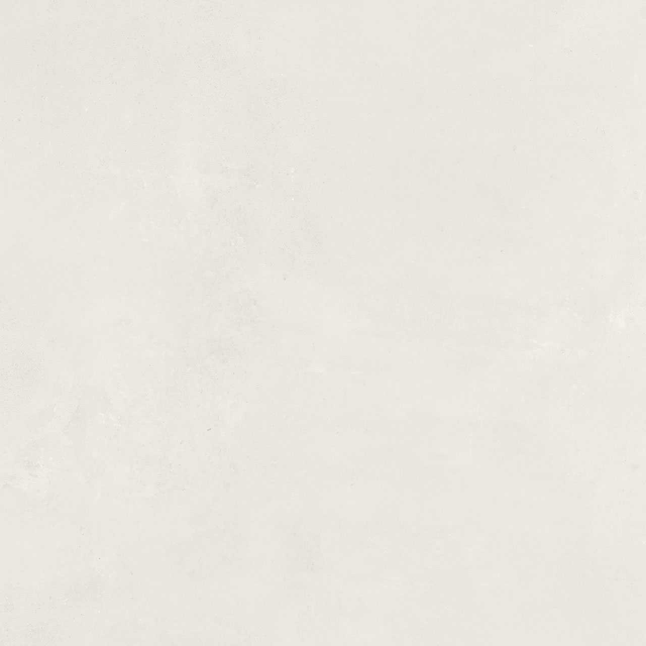 Campus Off White EXT