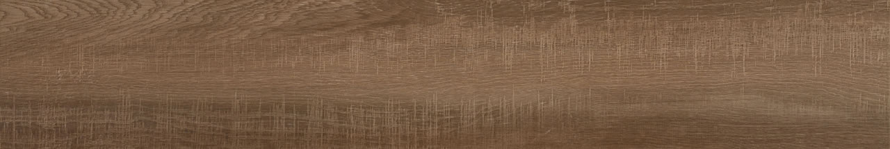 Carvalho Camel MA