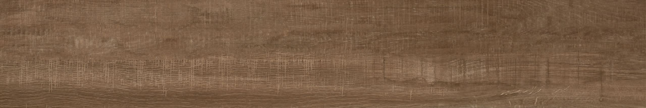 Carvalho Camel MA