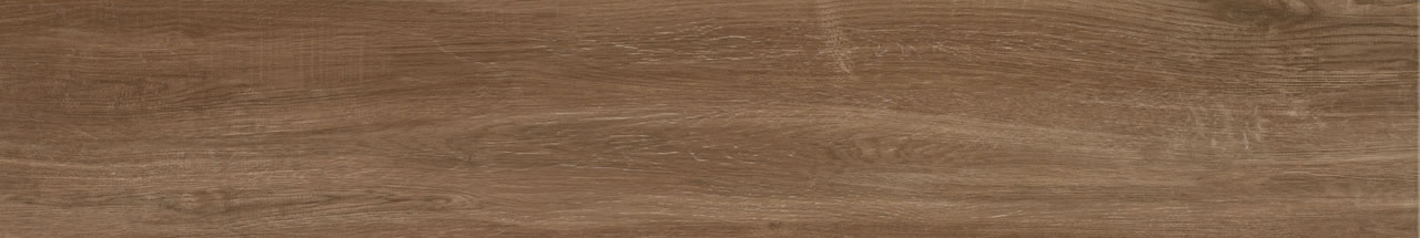 Carvalho Camel MA