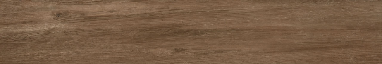 Carvalho Camel MA