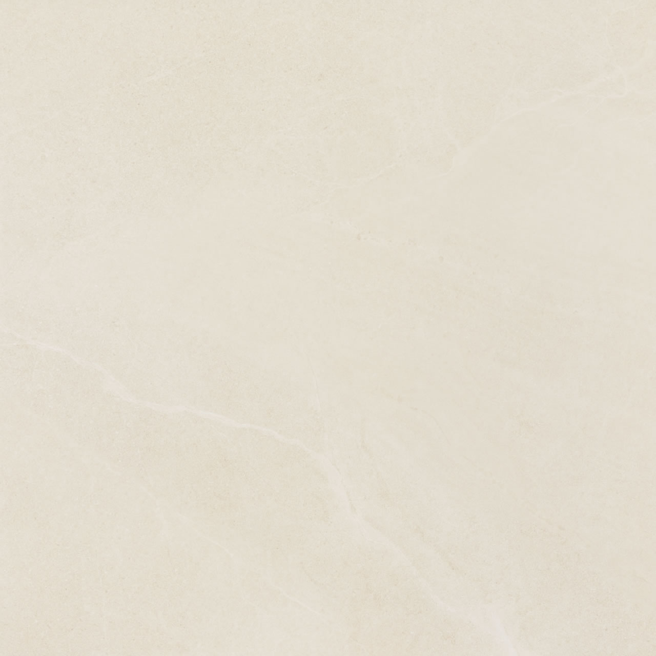 Gobi Shell PO