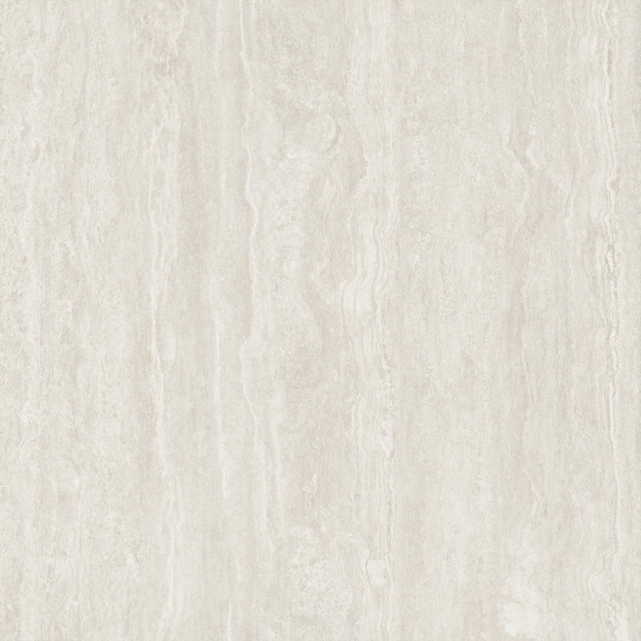 Palatino Vein Corda AC 3d