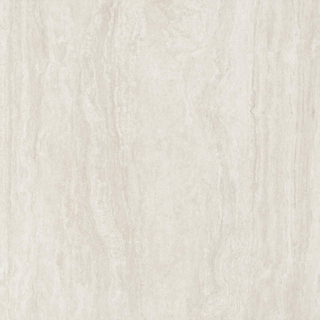 Palatino Vein Corda AC 3d