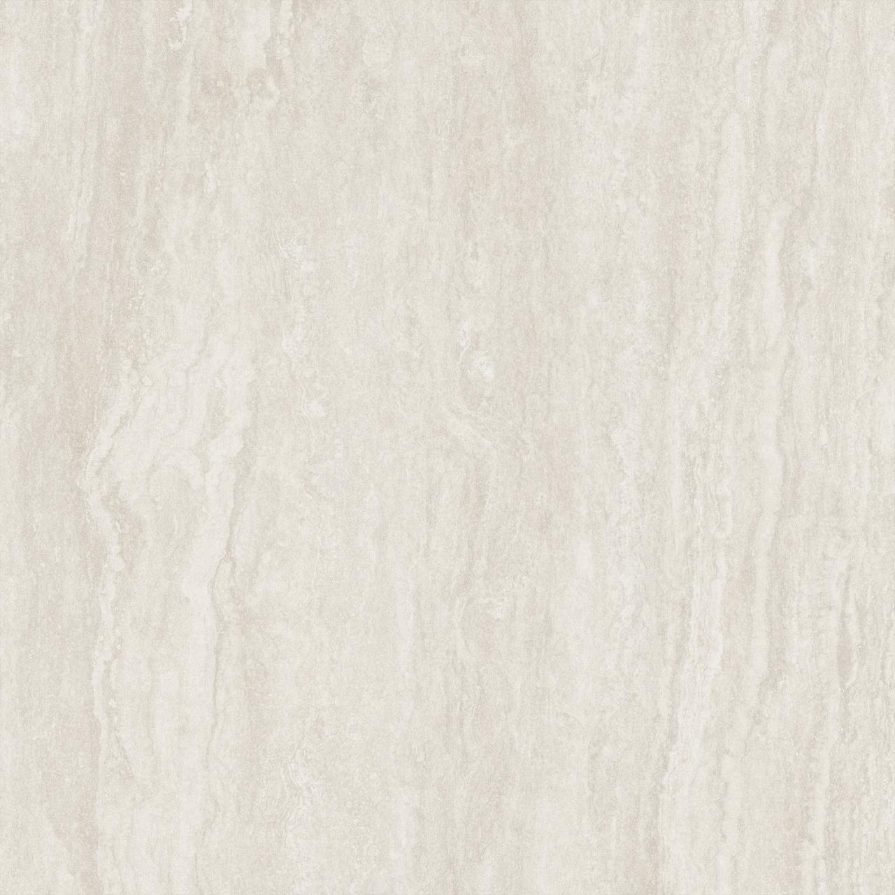 Palatino Vein Corda AC 3d