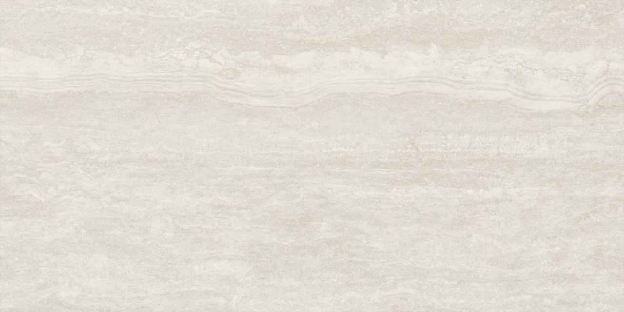 Palatino Vein Corda AC 3D